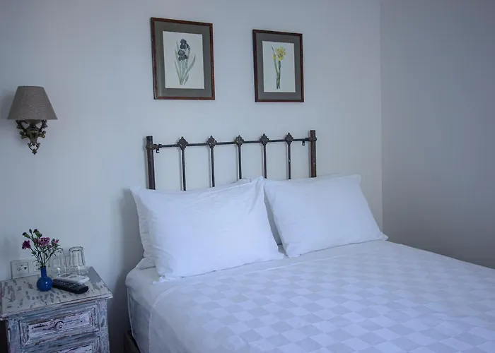 Hotel Opus 1910 Ayvalı